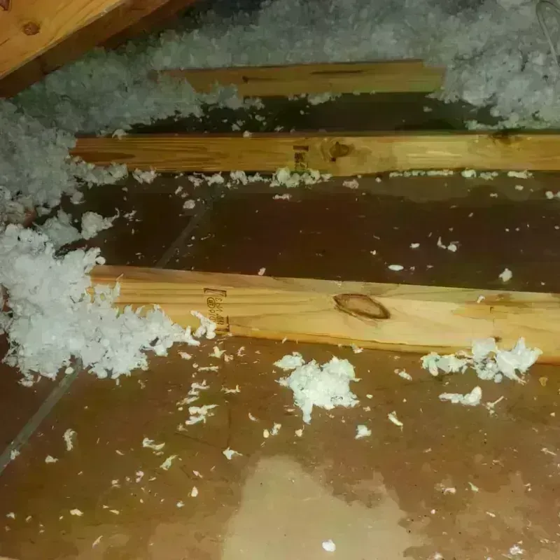 Attic Water Damage in Minnewaukan, ND