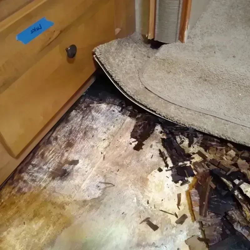 Wood Floor Water Damage in Minnewaukan, ND